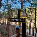 무병장수 둘레길 이미지