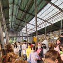 도담목장 이미지