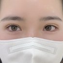 중앙타워(산본중앙타워) | 산본속눈썹펌 추천 '다몽래쉬' 위아래 듀얼펌 후기