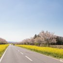 제주도 여행 중 꼭 가보아야 할 마을 - 가시리와 낙천리 이미지