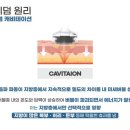 최프로 스킨 앤 바디 이미지