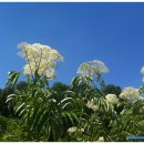 낮엔해처럼밤엔달처럼 이미지