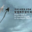아파트 바깥창 안쪽에 붙은 동양하루살이 허물 이미지