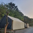 오투 글램핑 / 옥포 글램핑 후기🏕