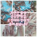싱싱축산마을 이미지