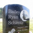 개성시대 이미지