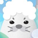 씨팝케어 이미지