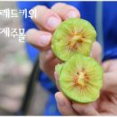 원시관광농원 이미지