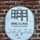 독클래스 이미지