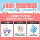 팀켈리 | 강남 펫유치원 비용 비교 강아지어질리티 다양한 켈리독 후기