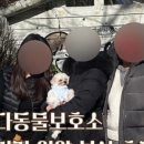 도그원동물의료센터 이미지