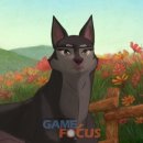 (주)엠트릭스 게임포커스