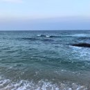 영진목장 이미지