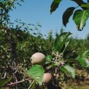 유목농장 이미지