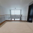 플레이독애견풀빌라 이미지