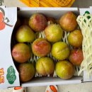 군자농장 이미지