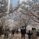 강변부분정비 이미지