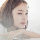 진영 문화일보