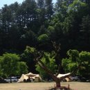 캠프 올모 이미지