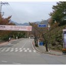 술정마을회관 | (창녕)화왕산 산행[16.11월]자하곡매표소,제3등산로,화왕산,서문,제2등산로,자하곡매표소