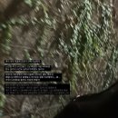 [2023 월간일기] 10월 - Jinx