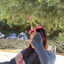 씨유 압구정로데오점 이미지