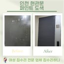 학익2동 | 인천 현관문 페인트 도색 작업 업체