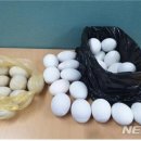 튼튼수정소 이미지