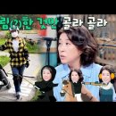 우리가 아는 국민엄마 김미경은 사실 스쿠버 자격증 소유자+바이크를 타고+번지점프를 즐기며+도마뱀을 기르는+멜로 극혐자라는 걸 아시나요 이미지