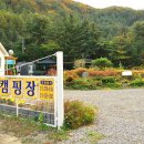 들꽃여울캠핑장 이미지