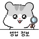 플라잉스톤 이미지