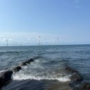 오마이 수산 | 여름여행, 4박5일 마지막 날 (번네식당 갈치조림, 오마이살롱, 유엔아이 제주 풀빌라, 올레시장 달인...