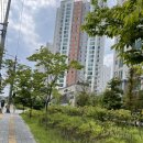해마루초등학교 | 갑자기 떠난 구미 임장후기(우미린센트럴파크, 형곡금호어울림포레,중흥에스클래스에듀힐스,옥계현진...