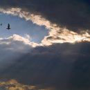 아름다운 선물 이미지