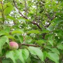 산해농장 이미지