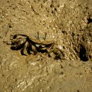 중선포천 이미지