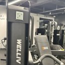 MS TOWER | 춘천 헬스PT 추천, 체형교정 PT '익투스짐 헬스&amp;PT'