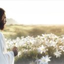 순종황제어가길 상징 | [레위기 24장 해설] 꺼지지 않는 빛과 더럽혀지지 않는 이름, 2026년 3월 27일, Ever-Burning Light...