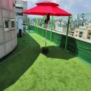 개를 위한 하루 이미지