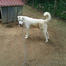 병태농장 이미지