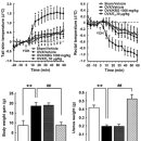 도현한의원 이미지