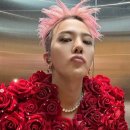 "그 많은 재산 어쩌려고?"…가수 GD "은행 앱 못 써", 자산관리사가 맡는다 이미지