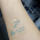 놀타투 | 2주 유지 타투스티커 누탯츠 NUTATS 내돈내산 망한 후기