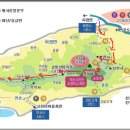 25년 4월 고려산 산행코스 이미지