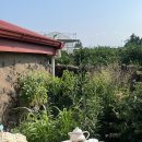 오마이코티지(oh my cottage) 이미지