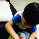 라두스 네이버블로그