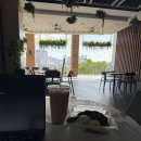 궁전구내식당 | 한달살기 Day9 | 푸트라자야 가볼만한곳 BEST 3: 보타닉 가든, 모로칸 파빌리온, 핑크모스크 방문후기