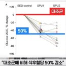 혈당 조절,식후 걷기, 낮잠 이미지