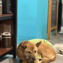 산 태권도장 | [일상 ✍🏻] 25년 연말과 26년 새해 근황 / 일상 이것저것