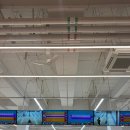 Woo Da Da | 천안 최대 규모의 볼링장 JK 레인즈 방문기록 | 가족과의 대결 그리고 처참한 패배를 맛보다 | 인생은...